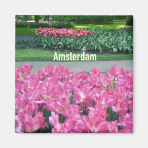 Amsterdam Magneet