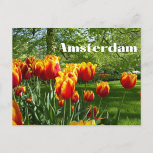 Amsterdam Oranje Tulpen - Botanische tuin Briefkaart