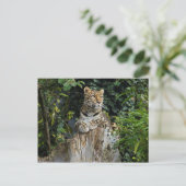 Amur Leopard Briefkaart (Staand voorkant)