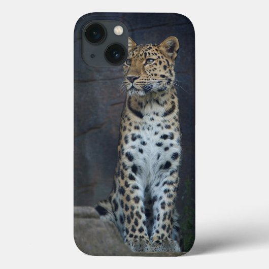 Amur Leopard iPhone 6 Hoesje (Achterkant)