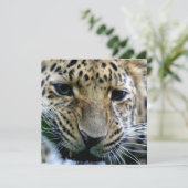 Amur Leopard-uitnodigingen Kaart (Staand voorkant)
