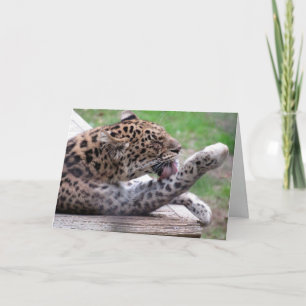 Amur Leopard Wenskaart Kaart