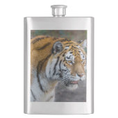 Amur Tiger Flacon (Voorkant)