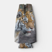 Amur Tiger Flesjeskoeler (Achterkant)