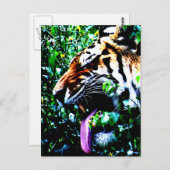 Amur Tiger pccnm Briefkaart (Voorkant / Achterkant)