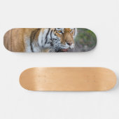Amur Tiger Skateboard (Horizontaal)