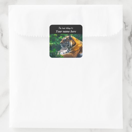 Amur Tiger Sticker (Sac)