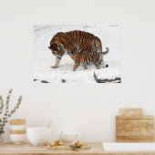 Amur tijger en Cub Poster (Keuken)