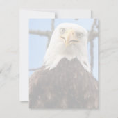 Amusant Aigle Bald Face Faune Merci (Dos)