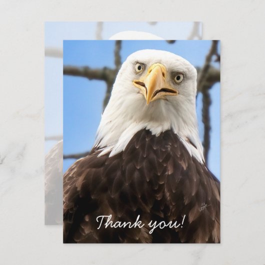 Amusant Aigle Bald Face Faune Merci (Devant / Derrière)