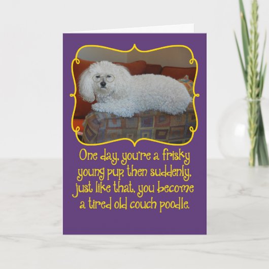 Amusant Ancien Canapé Poodle Carte d'Anniversaire (Devant)