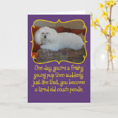 Amusant Ancien Canapé Poodle Carte d'Anniversaire (Fleur jaune)
