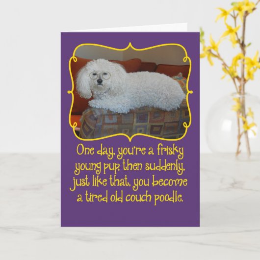 Amusant Ancien Canapé Poodle Carte d'Anniversaire (Fleur jaune)