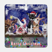 Amusant animal de ferme ornement de Noël (Verso)