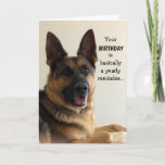 Amusant berger allemand carte d'anniversaire<br><div class="desc">Funny German Shepherd carte d'anniversaire pour n'importe qui ! Cette carte est personnalisable avec votre message personnalisé.</div>