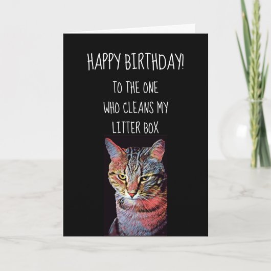 Amusant Joyeux Anniversaire De La Carte Chat (Devant)