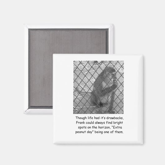 Amusant Magnet d'encouragement de singe (Recto/Verso)