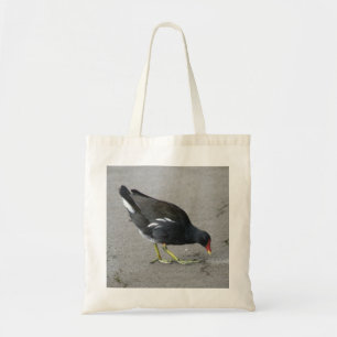 Amusant Moorhen prendre un sac en boîte