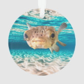 Amusant Poisson Poisson-Poisson-Poisson-Poisson-Pu (dos)