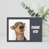 Amusant Silly Shocking regardant Chien Merci (Debout devant)