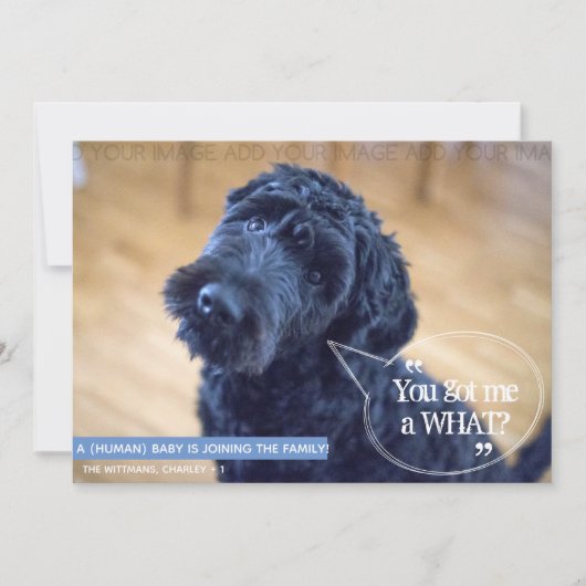 Amusante mariée (bébé humain) Faire-part de grosse (Devant)