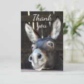 Amusants âne, Burro, Humour animal de ferme Merci (Debout devant)