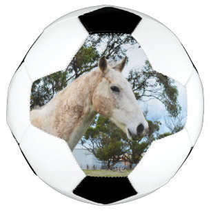 Amusement Boueux Pour Cheval Blanc, Soccerball