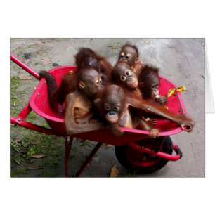 Amusement mignon de joyeux anniversaire