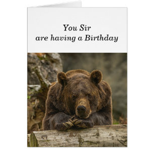 Amusement sur la colline Sérieux regard grizzli Ou