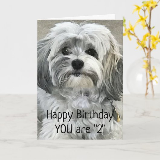 AMUSER PETIT **2ème** Carte d'anniversaire (Fleur jaune)