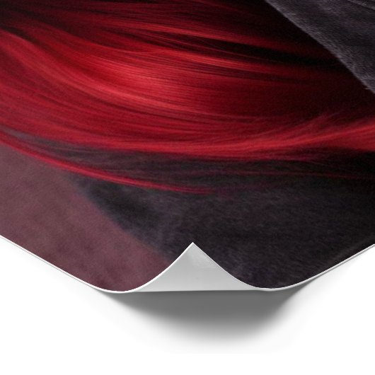 Amy Rosen Poster (Hoek)