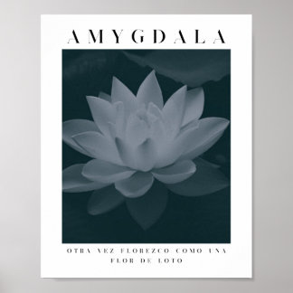 AMYGDALA - LOTUS FLOWER, grijs palet, Poster