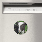 Amy's Lamb Magneet (Insitu (Vaatwasser))