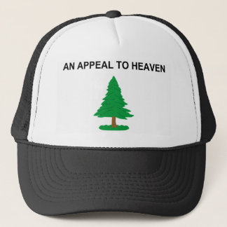 An_Appeal_to_Heaven_Flag Pet