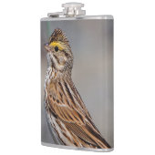 An Inquisitive Savannah Sparrow Heupfles (Links)