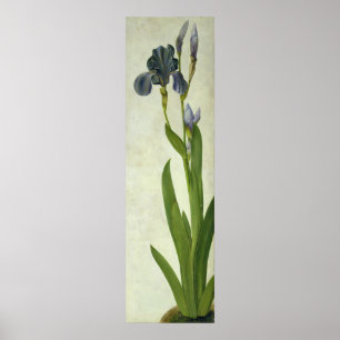 An Iris Poster