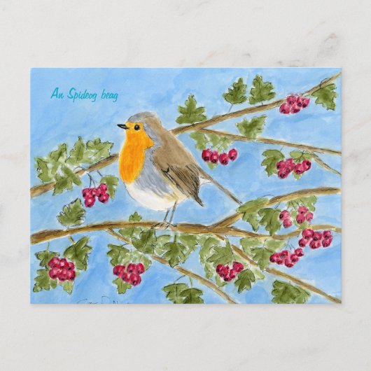 An Spideog beag postcard Briefkaart (Voorkant)