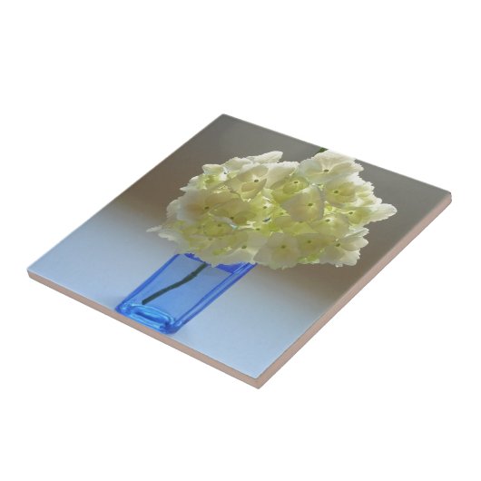 anabelle hydrangea tegeltje (Zijkant)