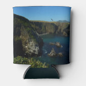 Anacapa-eiland in het Kanaaleilanden Blikjeskoeler (Voorkant)