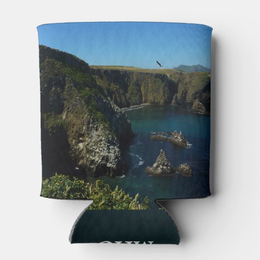 Anacapa-eiland in het Kanaaleilanden Blikjeskoeler (Achterkant)