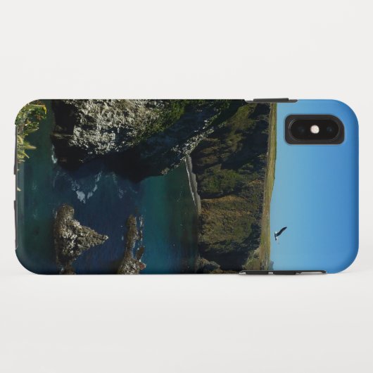 Anacapa-eiland in het Kanaaleilanden Case-Mate iPhone Case (Achterkant (horizontaal))