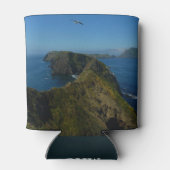 Anacapa's inspiratiepunt I op de Kanaaleilanden Blikjeskoeler (Achterkant)