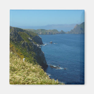 Anacapa's Inspiration Point II bij Channel Islands Magneet