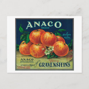Anaco Apple Crate Label Briefkaart