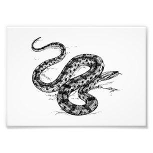 Anaconda Foto Afdruk