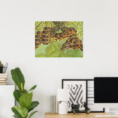 Anaconda Poster (Thuiskantoor)