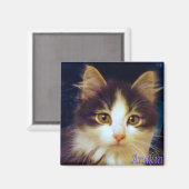 Anakin Chat à deux pattes, Magnet Carré Cute Kitte (Recto/Verso)