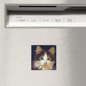 Anakin Twee Legged Kat, Leuke Kitten Vierkante Mag Magneet (Insitu (Vaatwasser))