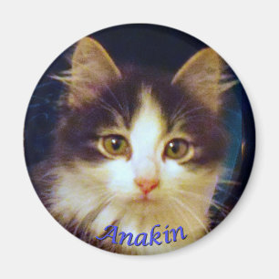 Anakin Two Legged Cat, Cute Kitten Round Magnet Magneet