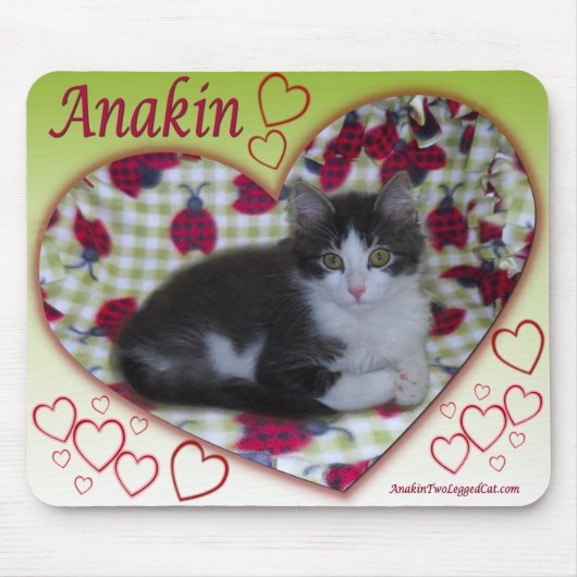 Anakin Two Legged Cat Ladybug Heart KittyMousepad Muismat (Voorkant)